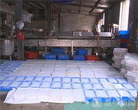 豆制品加工厂惊现卫生乱象 生蛆原料与三无产品流入市场