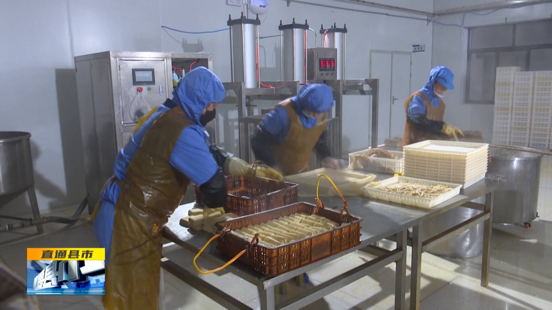 《直通县市》白水县雷牙镇 豆制品产业兴旺绘就乡村新画卷